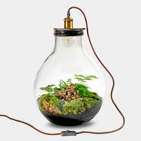 Ecolight XL Botanical -  Terrarium met lamp - 45cm - [shop_vendor] - Ecolight XL Botanical -  Terrarium met lamp - 45cm - Atelier
