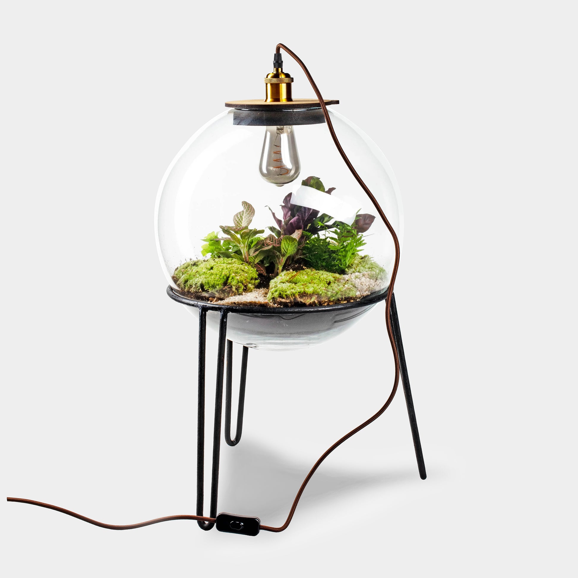 Demeter Botanical incl. standaard - Terrarium met lamp - 60cm - [shop_vendor] - Demeter Botanical incl. standaard - Terrarium met lamp - 60cm - Atelier