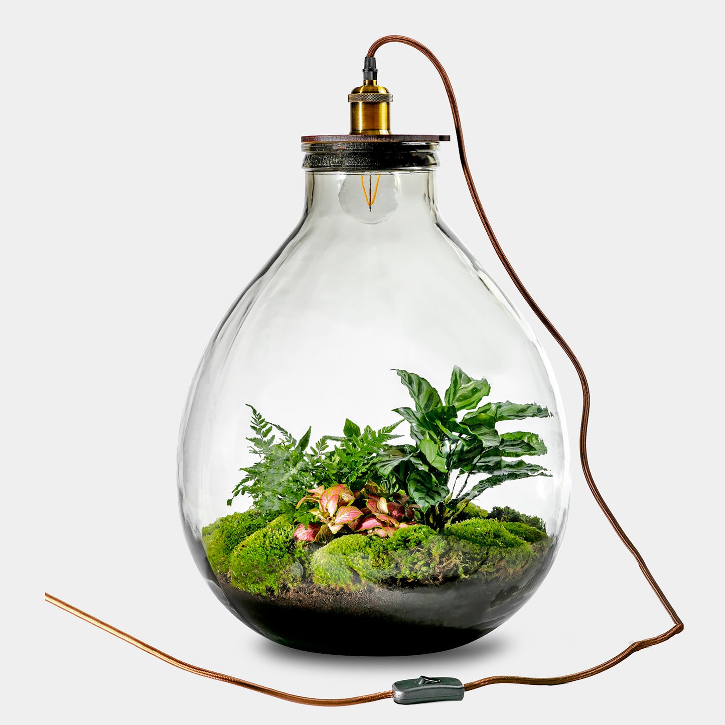Ecolight XXL Botanical - Terrarium met lamp - 55cm - [shop_vendor] - Ecolight XXL Botanical - Terrarium met lamp - 55cm - Atelier