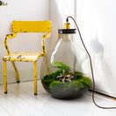 Changer Ecolight XXL Botanical - Terrarium met lamp - 55cm - [shop_vendor] - Ecolight XXL Botanical - Terrarium met lamp - 55cm - Atelier 2 image