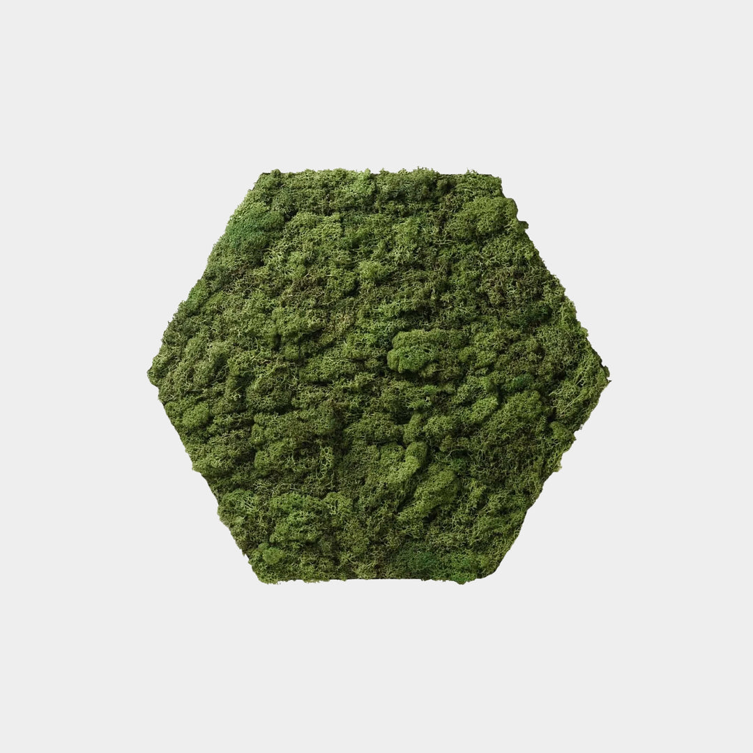 Huldra Hexagon Grünes Moos - Wandfliese - 21x24cm