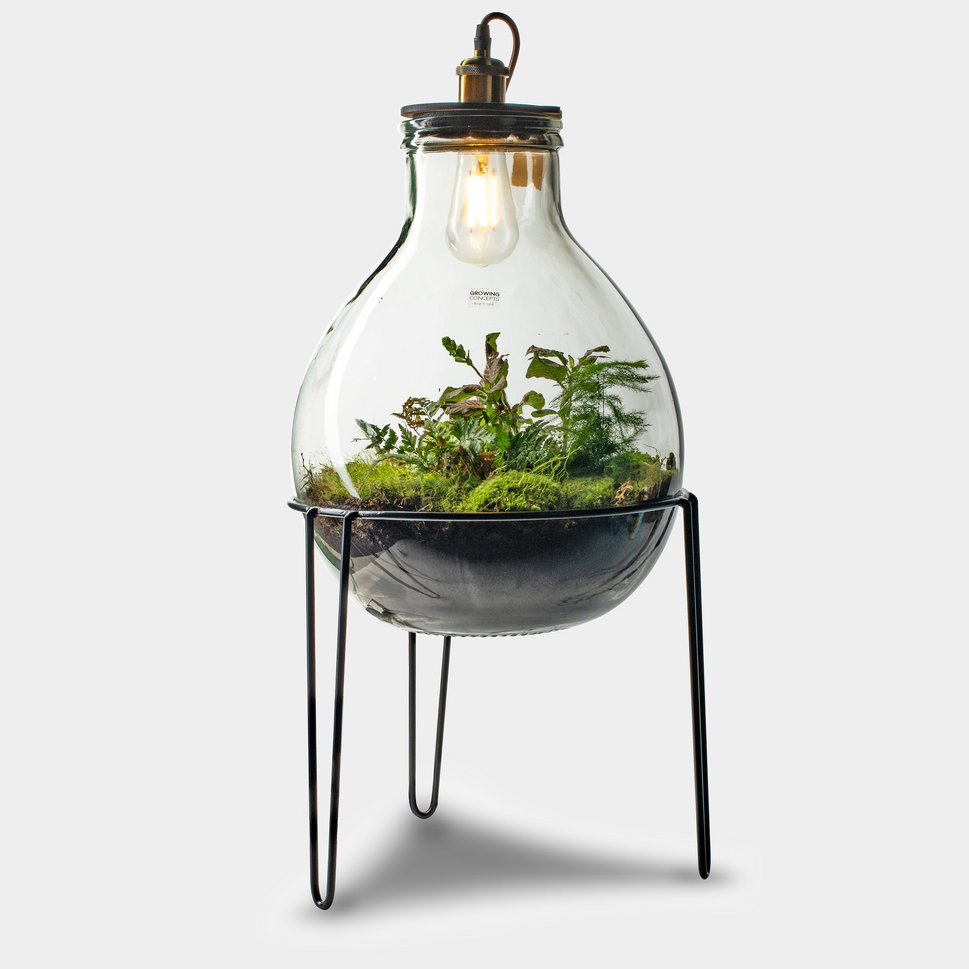 Ecolight XXL Botanical avec support - Terrarium avec lampe - 80cm