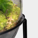 Changer Ecolight XXL  Botanical incl. standaard - Terrarium met lamp - 80cm - [shop_vendor] - Ecolight XXL  Botanical incl. standaard - Terrarium met lamp - 80cm - Atelier 2 image