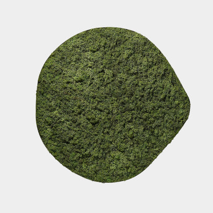 Froya Green – Moosmalerei – 60 cm