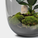 Changer Ceres Forest - Terrarium tafel - 45cm - [shop_vendor] - Ceres Forest - Terrarium tafel - 45cm - Atelier 2 image