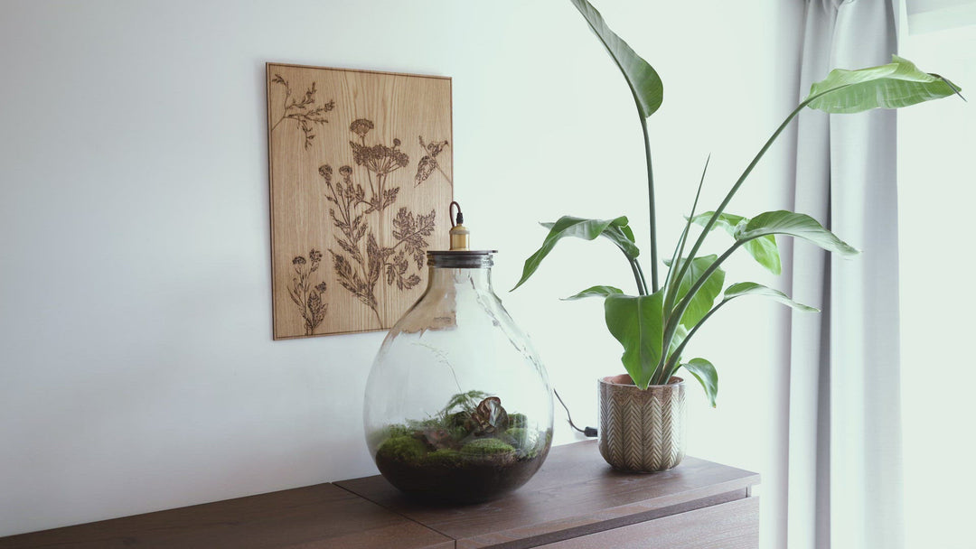Terrarium | Lampenfassung aus Eiche | 5 Botanische Pflanzen | ↑55cm -Ø40cm